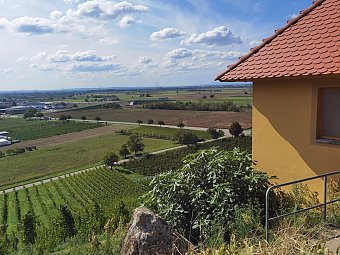 Heiraten im Rebhäusle, Foto: unbekannt Heiraten im Rebhäusle, Foto: unbekannt