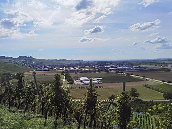 Heiraten im Rebhäusle, Foto: unbekannt Heiraten im Rebhäusle, Foto: unbekannt